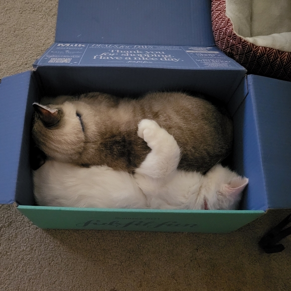 Hi Everyone! - Picture 8 of 9